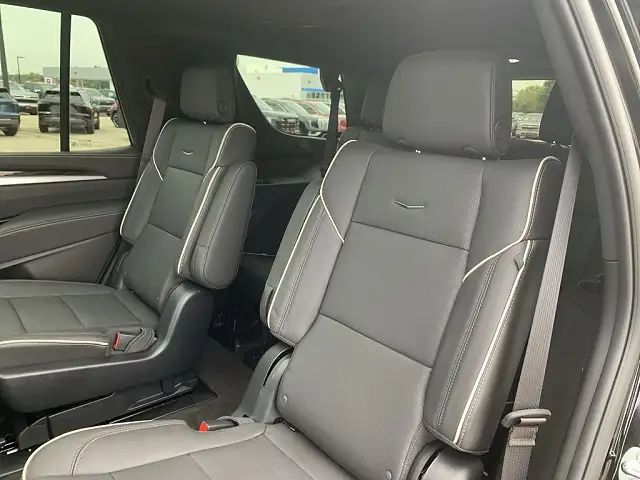 WhatsApp Image 2025-11-10 at 10.07.26 PM